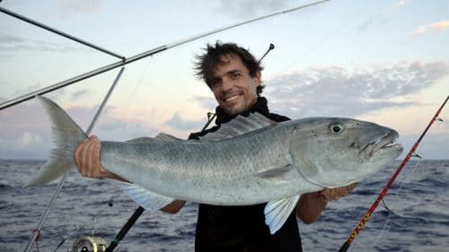 Gros poisson poulet en peche a l appat - www.rodfishingclub.com - Rodrigues - Maurice - Océan Indien