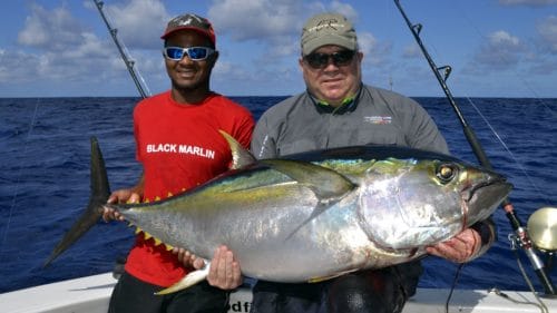 Gros thon jaune en peche a la traine - www.rodfishingclub.com - Rodrigues - Maurice - Ocean Indien