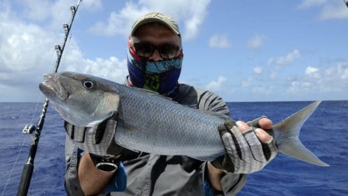 Gros thon jaune en peche a la traine - www.rodfishingclub.com - Rodrigues - Maurice - Ocean Indien