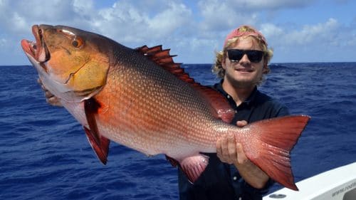 Red snapper on baiting by Arthur - www.rodfishingclub.com - Rodrigues - Mauritius - Indian Ocean