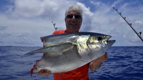 Thon jaune coupé par un requin - www.rodfishingclub.com - Rodrigues - Maurice - Océan Indien