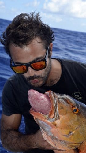bisous - www.rodfishingclub.com - Rodrigues - Maurice - Océan Indien