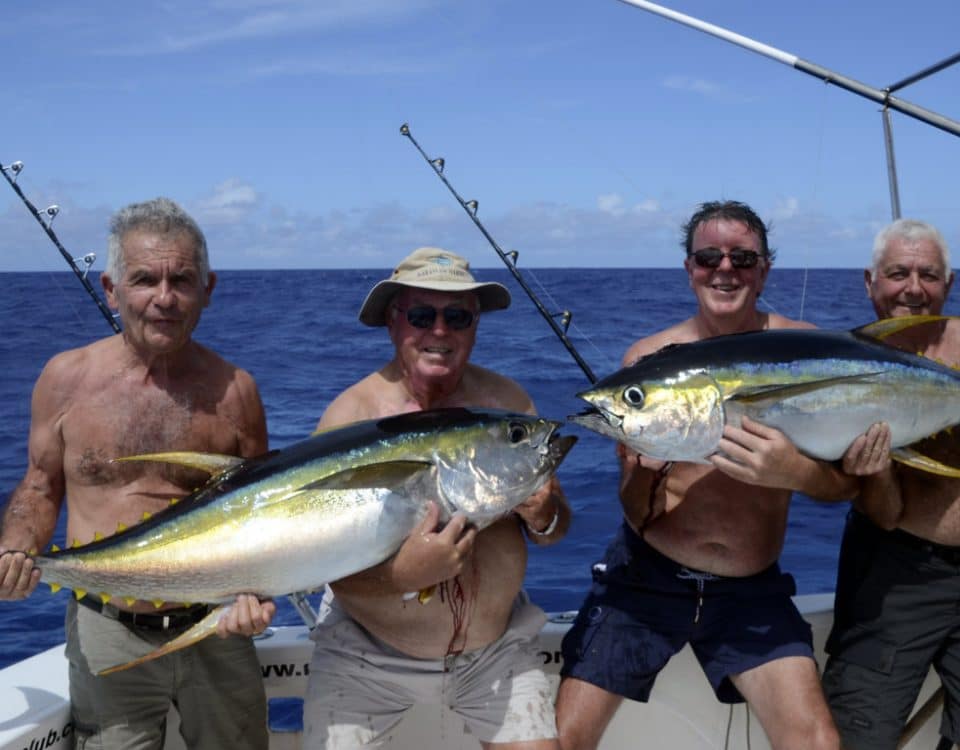 Beaux thons jaunes en peche a la traine - www.rodfishingclub.com - Rodrigues - Maurice - Ocean Indien