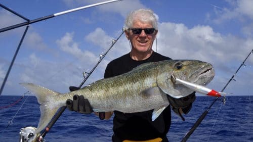 Big jobfish on trolling on a speed pro deep williamson - www.rodfishingclub.com - Rodrigues - Mauritius - Indian Ocean