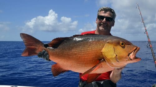 Carpe rouge en peche a l appat - www.rodfishingclub.com - Rodrigues - Maurice - Océan Indien