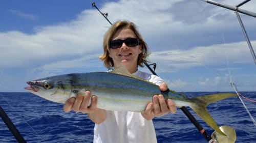 Coureur arc en ciel en peche a l appat - www.rodfishingclub.com - Rodrigues - maurice - ocean indien