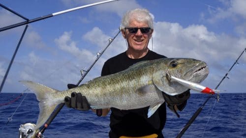 Gros poisson poulet en peche a la traine sur un williamson speed pro deep - www.rodfishingclub.com - Rodrigues - Maurice - Ocean Indien