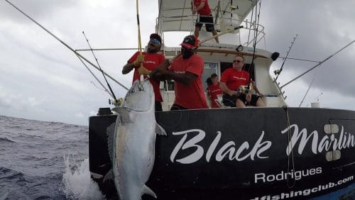 Gros thon dents de chien en peche au vif - www.rodfishingclub.com - Rodrigues - Maurice - Océan Indien