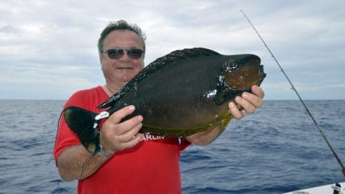 Poisson chirurgien en peche a l appat par Pierre - www.rodfishingclub.com - Rodrigues - Maurice - Océan Indien