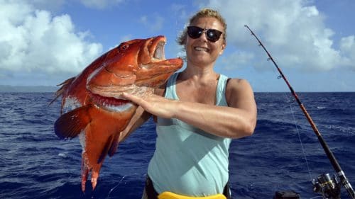 Red corail trout cut by shark on baiting - www.rodfishingclub.com - Rodrigues - Mauritius - Indian Ocean