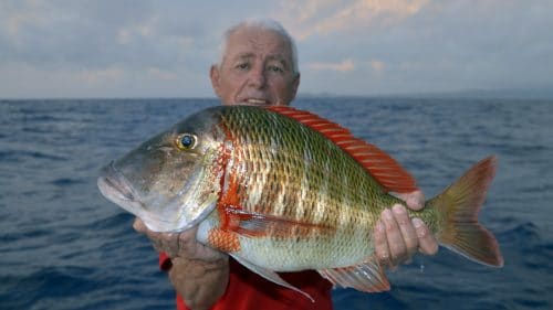 Sky emperor on baiting by Mitch - www.rodfishingclub.com - Rodrigues - Mauritius - Indian Ocean