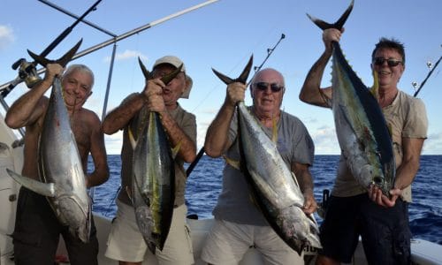 Thons jaunes en peche a la traine - www.rodfishingclub.com - Rodrigues - Maurice - Ocean Indien