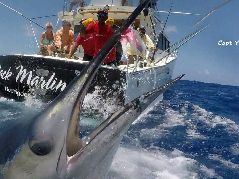 Voilier en peche a la traine - www.rodfishingclub.com - Rodrigues - Maurice - Océan Indien