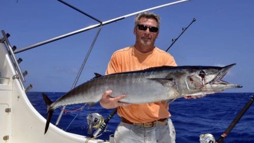 Wahoo on trolling by JP - www.rodfishingclub.com - Rodrigues - Mauritius - Indian Ocean