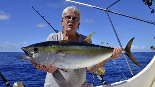 Yellowfin tuna on trolling by Momo - www.rodfishingclub.com - Rodrigues - Mauritius - Indian Ocean