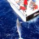 Black marlin on trolling on leader - www.rodfishingclub.com - Rodrigues - Mauritius - Indian Ocean