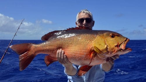 Carpe rouge en peche a l appat par Bertrand - www.rodfishingclub.com - Rodrigues - Maurice - Ocean Indien