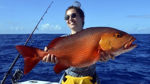 Carpe rouge en peche a l appat - www.rodfishingclub.com - Rodrigues - Maurice - Océan Indien