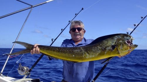 Dorado on trolling by Herve - www.rodfishingclub.com - Rodrigues - Mauritius - Indian Ocean