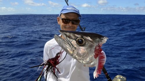 Head of doggy after shark - www.rodfishingclub.com - Rodrigues - Mauritius - Indian Ocean