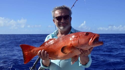 Merou babone en peche a l appat - www.rodfishingclub.com - Rodrigues - Maurice - Océan Indien