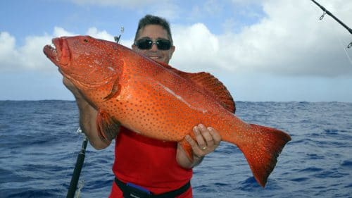 Merou babone en peche au jig - www.rodfishingclub.com - Rodrigues - Maurice - Ocean Indien