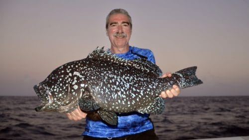 Merou vielille plat en peche au jig - www.rodfishingclub.com - Rodrigues - Maurice - Ocean Indien