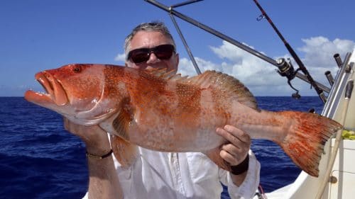 Mérou babone en peche a l appat par Patrice - www.rodfishingclub.com - Rodrigues - Maurice - Océan Indien