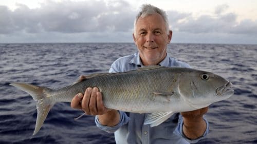 Poisson poulet en peche a l appat - www.rodfishingclub.com - Rodrigues - Maurice - Ocean Indien