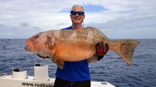 Red corail trout on baiting by Paul - www.rodfishingclub.com - Rodrigues - Mauritius - Indian Ocean