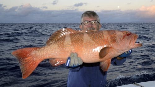 Red corail trout on baiting - www.rodfishingclub.com - Rodrigues - Mauritius - Indian Ocean