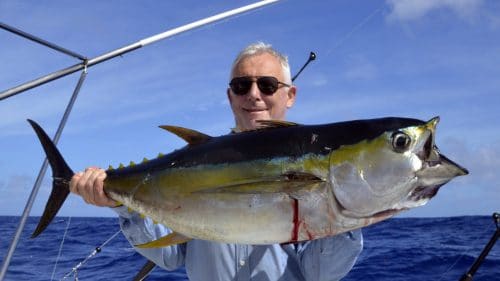 Thon jaune en peche a la traine par Bertrand - www.rodfishingclub.com - Rodrigues - Maurice - Ocean Indien