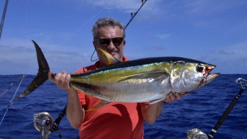 Thon jaune en peche a la traine par JB - www.rodfishingclub.com - Rodrigues - Maurice - Océan Indien