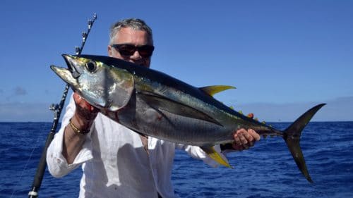 Thon jaune en peche a la traine par Patrice - www.rodfishingclub.com - Rodrigues - Maurice - Océan Indien