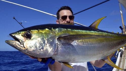Thon jaune en peche a la traine par Xavier - www.rodfishingclub.com - Rodrigues - Maurice - Ocean Indien