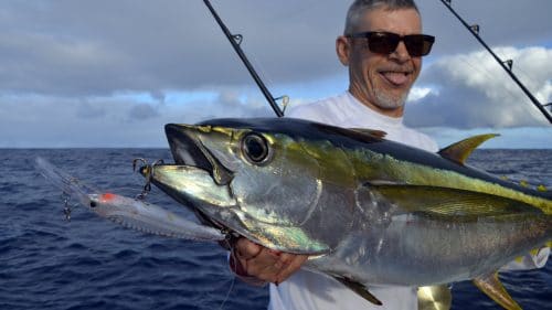 Thon jaune sur rapala X Rap - www.rodfishingclub.com - Rodrigues - Maurice - Océan Indien