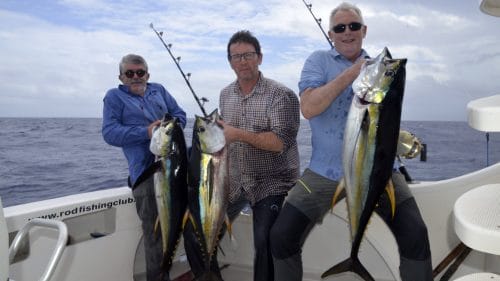 Thons jaunes en peche a la traine - www.rodfishingclub.com - Rodrigues - Maurice - Ocean Indien