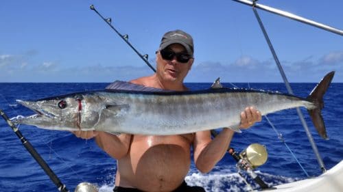 Wahoo en peche a la traine par JP - www.rodfishingclub.com - Rodrigues - Maurice - Ocean Indien