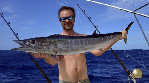 Wahoo on trolling by Guillaume - www.rodfishingclub.com - Rodrigues - Mauritius - Indian Ocean