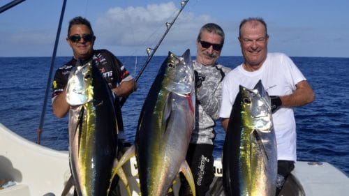 Yellowfin tunas on trolling by the Team - www.rodfishingclub.com - Rodrigues - Mauritius - Indian Ocean