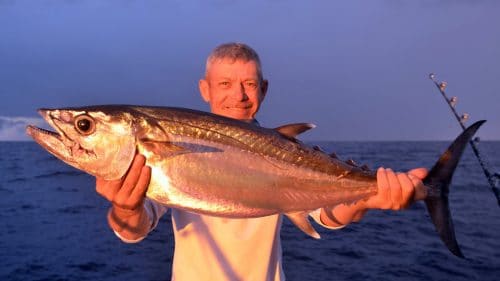 Doggy on baiting by Denis - www.rodfishingclub.com - Rodrigues - Mauritius - Indian Ocean