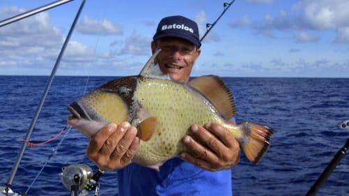 Trigger fish on baiting - www.rodfishingclub.com - Rodrigues - Mauritius - Indian Ocean