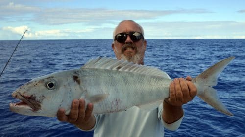 on slow jigging - www.rodfishingclub.com - Rodrigues - Mauritius - Indian Ocean