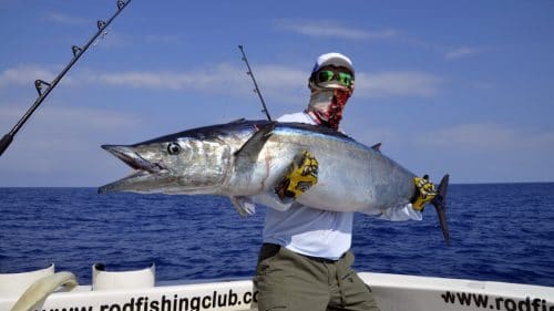 38kg wahoo on trolling - www.rodfishingclub.com - Rodrigues - Mauritius - Indian Ocean