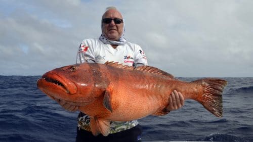 Big red corail trout on jigging - www.rodfishingclub.com - Rodrigues - Mauritius - Indian Ocean