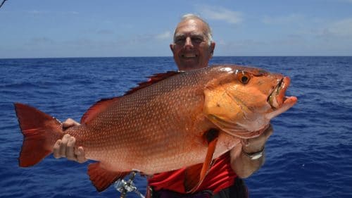 Big red snapper on slow jigging by Alain - www.rodfishingclub.com - Rodrigues - Mauritius - Indian Ocean