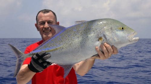 Carangue bleue par Philippe-www.rodfishingclub.com - Rodrigues - Mauri