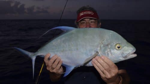 Carangue points jaunes en slow jigging par Marc - www.rodfishingclub.com - Rodrigues - Maurice - Océan Indien