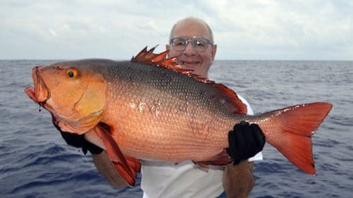 Carpe rouge en peche a l appat par Paul - www.rodfishingclub.com - Rodrigues - Maurice - Océan Indien