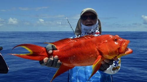 Croissant queue jaune en peche au jig par Marc - www.rodfishingclub.com - Rodrigues - Maurice - Océan Indien